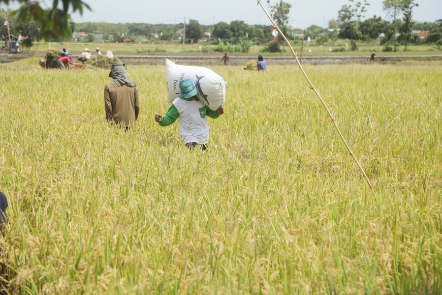 Panen Untung! Program MAKMUR Pupuk Indonesia Sukses Bantu 128 Ribu Petani Naikkan Produktivitas dan Tekan Biaya