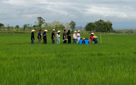 Menapak Masa Depan Pertanian: FISR 2025 Ajak Peserta ke Sawah Low Carbon yang Hemat Biaya dengan Hasil Lebih Berkualitas