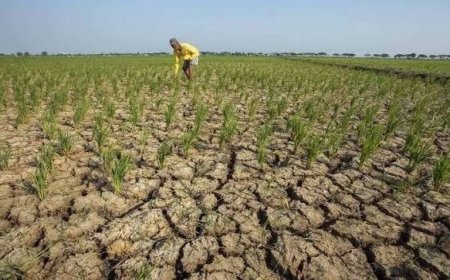 Kemarau 2026 Diprediksi Mirip 2024, Jawa Tengah Siapkan 123 Juta Liter Air Bersih