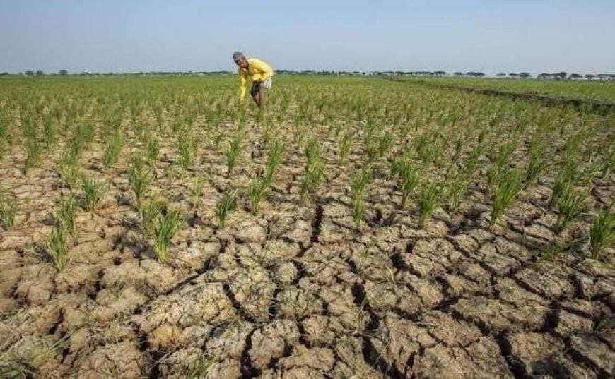 Kemarau 2026 Diprediksi Mirip 2024, Jawa Tengah Siapkan 123 Juta Liter Air Bersih