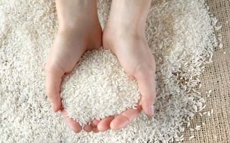 12 Rekomendasi Merk Beras yang Bagus, Enak, dan Pulen