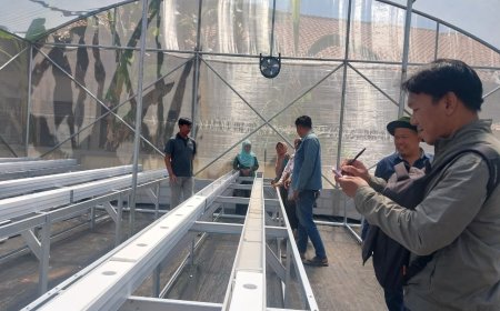 Delapan Kelompok Tani Pekalongan Kembangkan Melon Premium