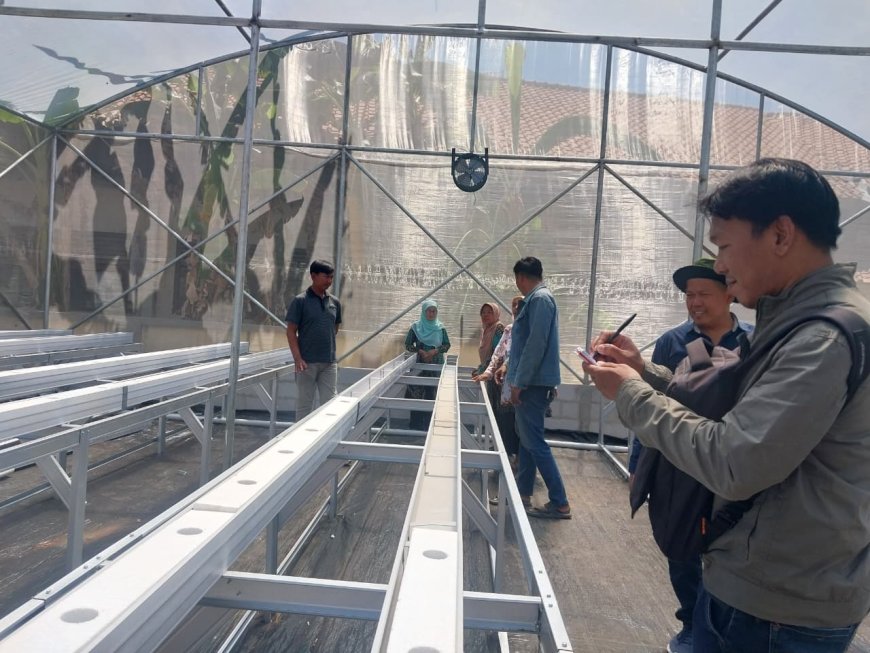 Delapan Kelompok Tani Pekalongan Kembangkan Melon Premium